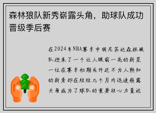 森林狼队新秀崭露头角，助球队成功晋级季后赛