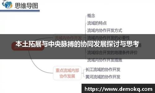 本土拓展与中央脉搏的协同发展探讨与思考